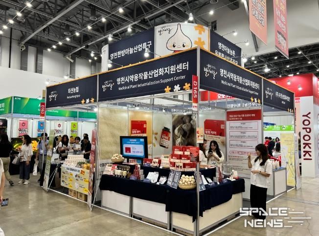 ‘영천별아마늘’ 대구국제식품산업전에서 만나요