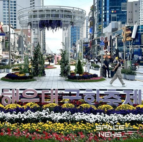 가을의 낭만에 취하다 ‘해운대 구남로 국화축제’ 20일까지