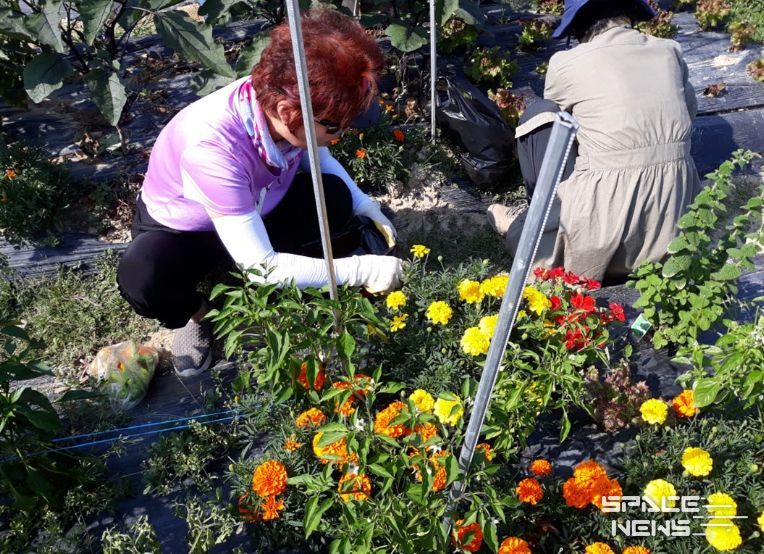 도시농업인 농사요령 과정’ 참여자 모집
