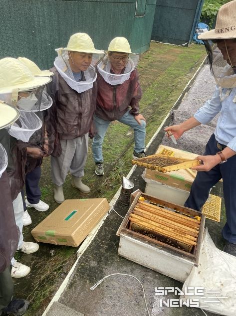 구로구 양봉체험교실 참가자들이 보호 장비를 착용하고 벌통과 꿀벌 생태를 직접 관찰하고 있다.