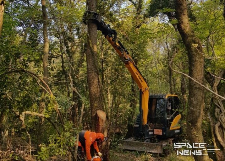 소나무재선충병 방제사업
