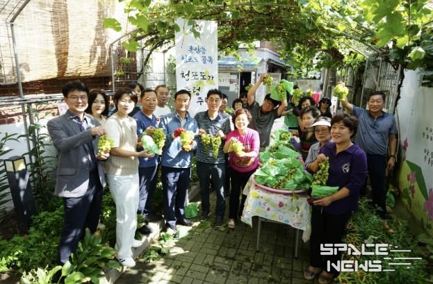 성북구 종암동주민자치회가 청포도를 수확해 경로당 어르신들에게 전달했다