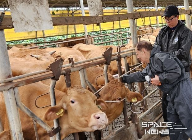 강화군, 전업농가까지 구제역 예방접종 시술비 지원 확대