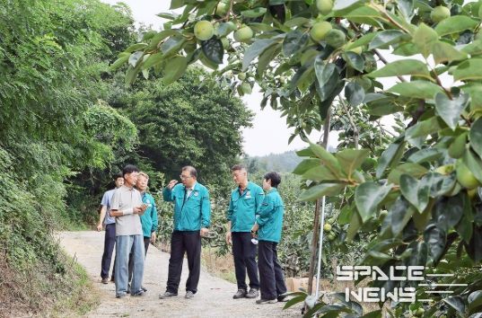 장금용 창원특례시장 권한대행, 북면 단감 농가 방문 등 현장 행정 강화