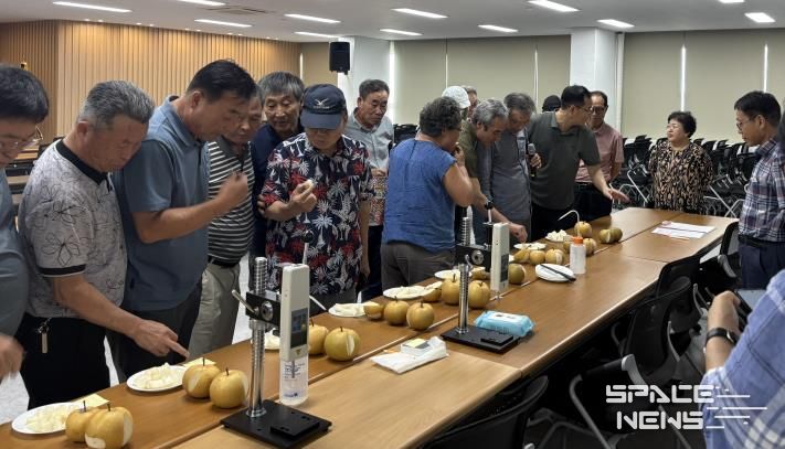 나주시가 농촌진흥청 주관 ‘지역특화형 신선농산물 수출단지 조성사업’ 공모에 최종 선정됐다. 사진은 나주시농업기술센터에서 진행한 숙기 판정 컨설팅 모습.