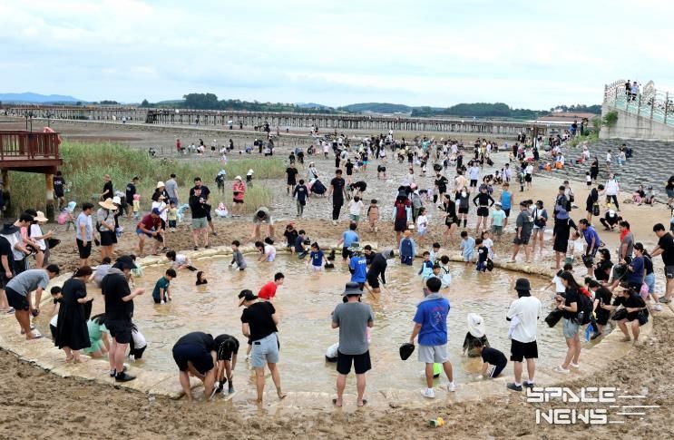 제11회 무안황토갯벌축제에서 진행한 장어잡기 체험