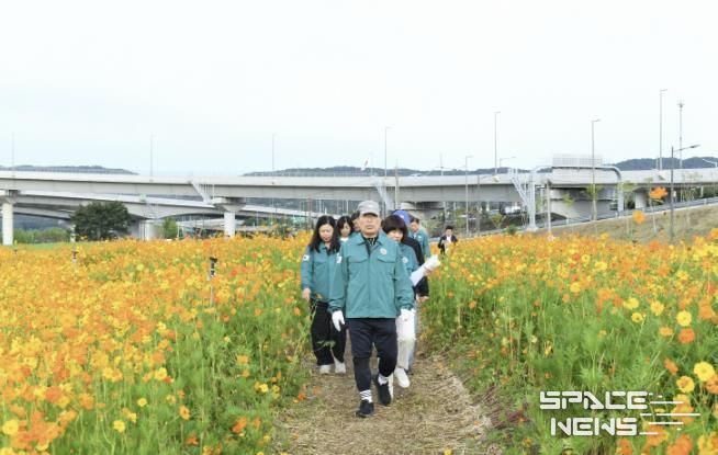 코스모스 꽃길 따라 구리로... 구리 코스모스 축제 ‘안전 점검’으로 준비 완료