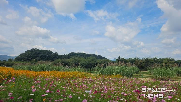 가을창포원 전경