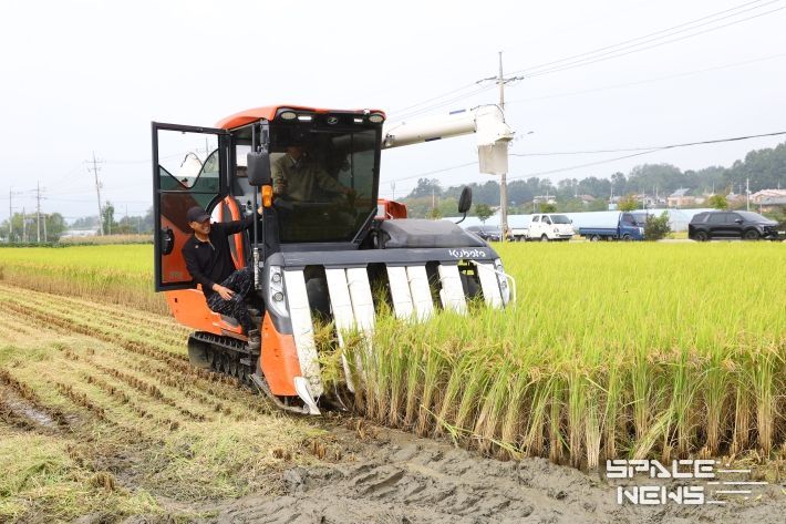 충주시 지역대표 쌀 신품종 중원진미 첫 수확(조길형 시장 트랙터 운전하며 벼 베기)