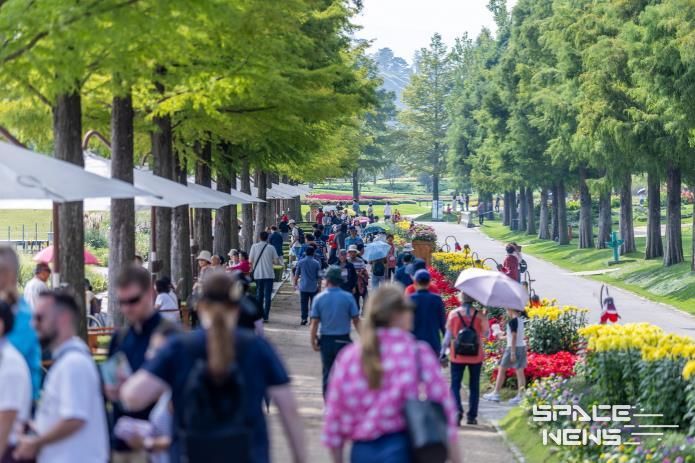 순천만국가정원 낙우송길.