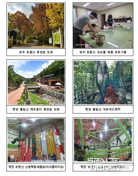 자연휴양림 체험⋅프로그램