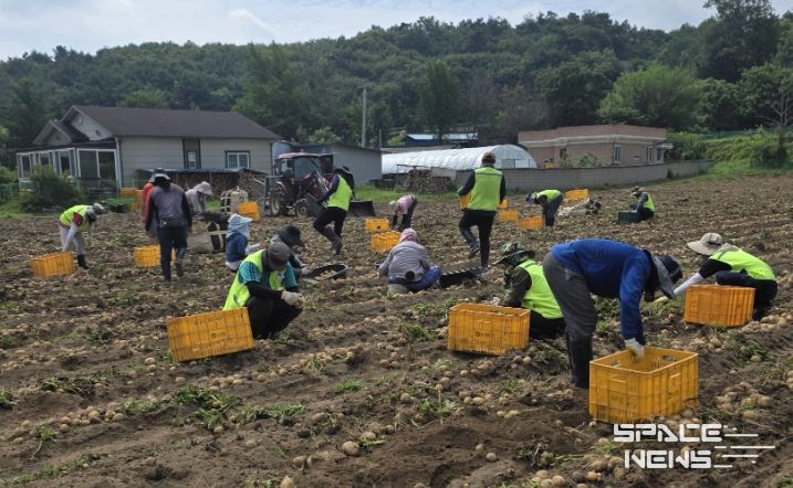 계절근로자 작업 모습