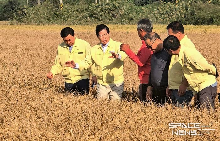 공영민 고흥군수, 벼‘깨씨무늬병’ 피해 현장 점검… 확산 방지 총력 대응