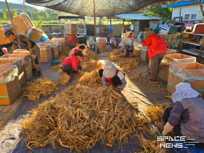 증평군,‘증평형 농촌일손 더하기’