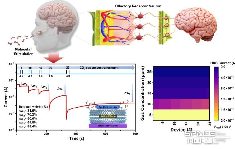 연구 결과의 개념도 및 분자 농도에 따른 전도도 제어 결과