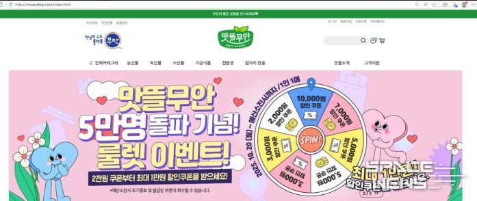 맛뜰무안몰 코스모스축제 기획전 배너