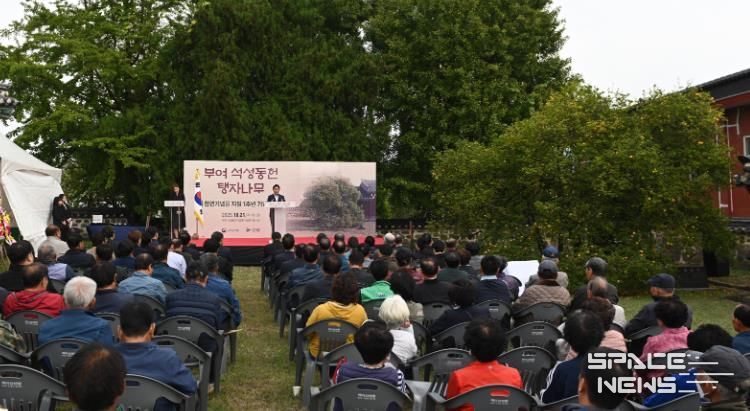 부여 석성동헌 탱자나무 천연기념물 지정 1주년 기념행사