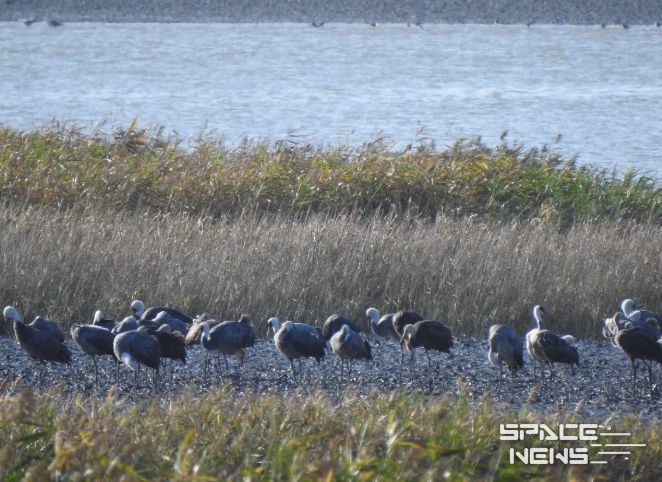 겨울 핫플, ‘순천여행’