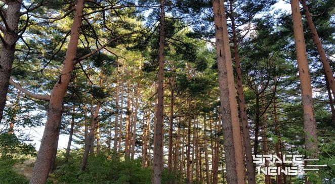 울진금강송 산지농업, FAO 세계중요농업유산 인증서 수여