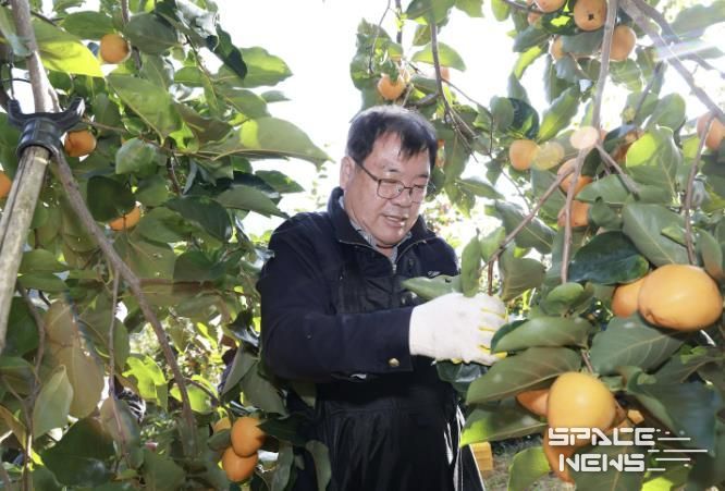 산청군, 농촌 일손 돕기 '구슬땀'