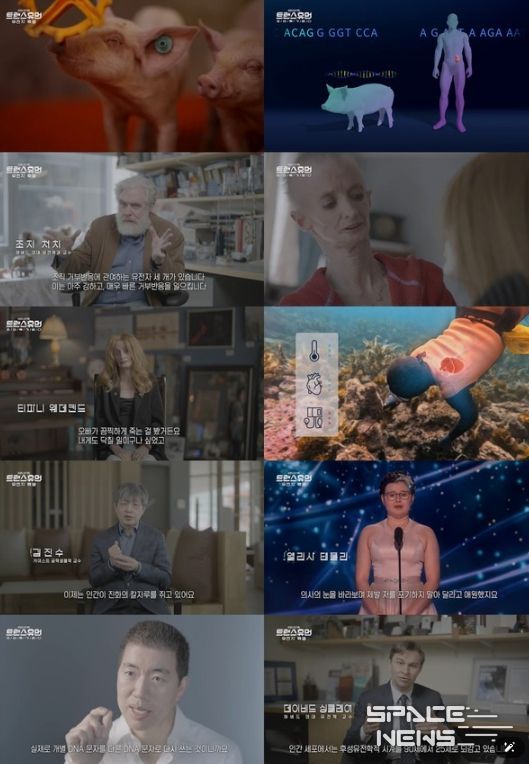 (사진 제공 = KBS 1TV ‘트랜스휴먼’)