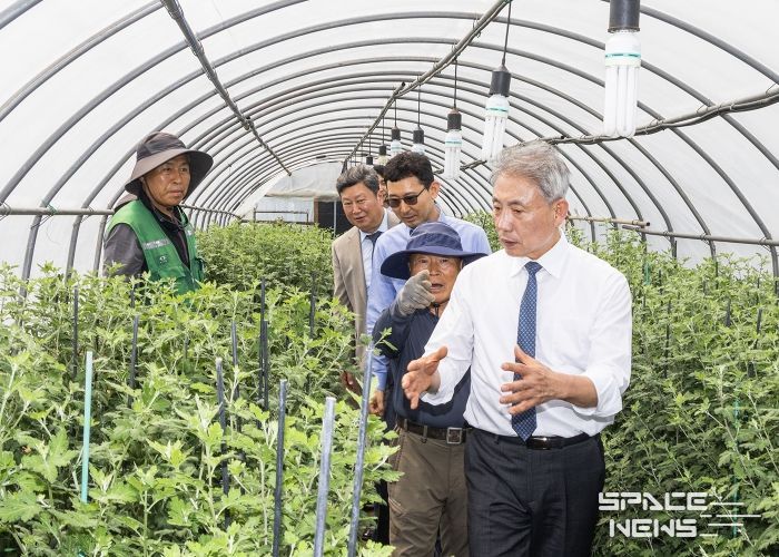 윤환 구청장, '가을꽃 전시회' 준비 국화 재배 현장 확인(2025년 5월)