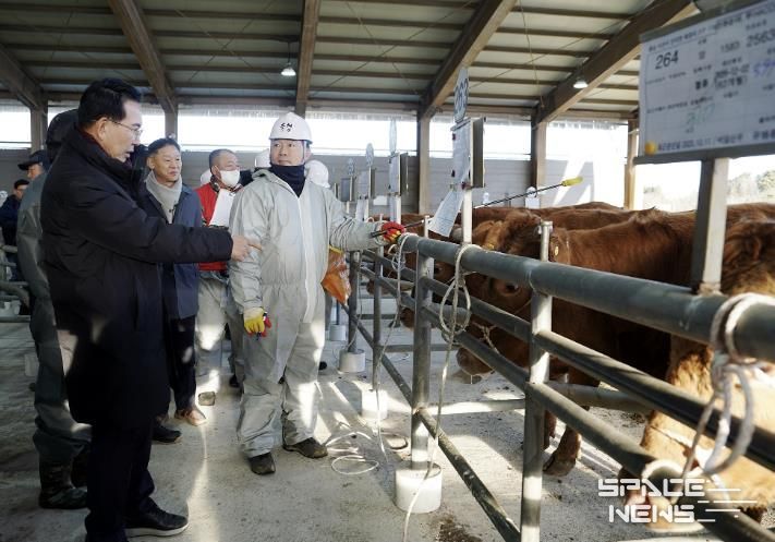 8일 음암면 상홍리 가축경매시장 모습