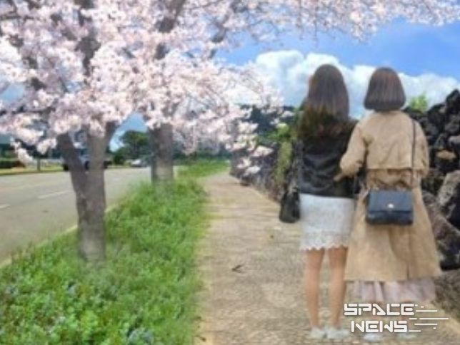 김녕남2길 조성 예시(조감도)