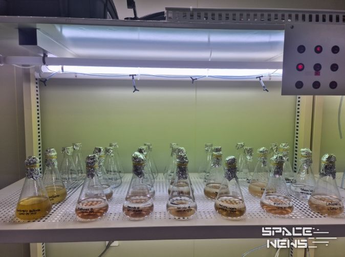 전복 종자 살리는 '첫 밥상' 규조류 무상 공급